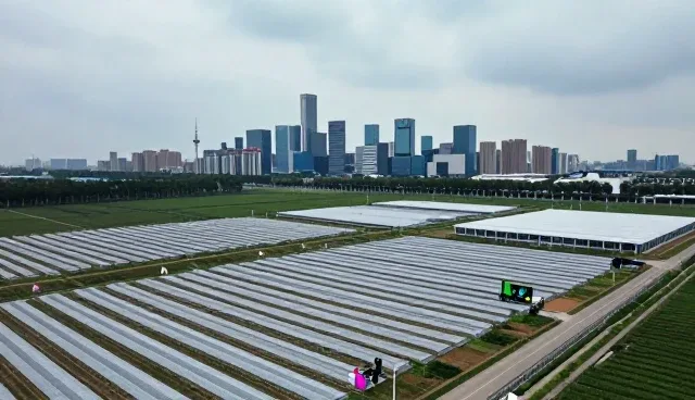 嵌入式开发板安装调试中的性能差异与适用场景分析